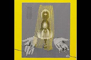 Object gemaakt door Neely Schaap