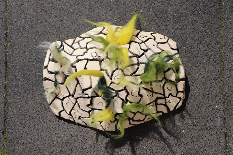 object van Neely Schaap