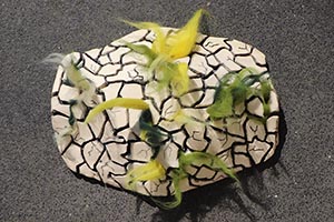 Object gemaakt door Neely Schaap