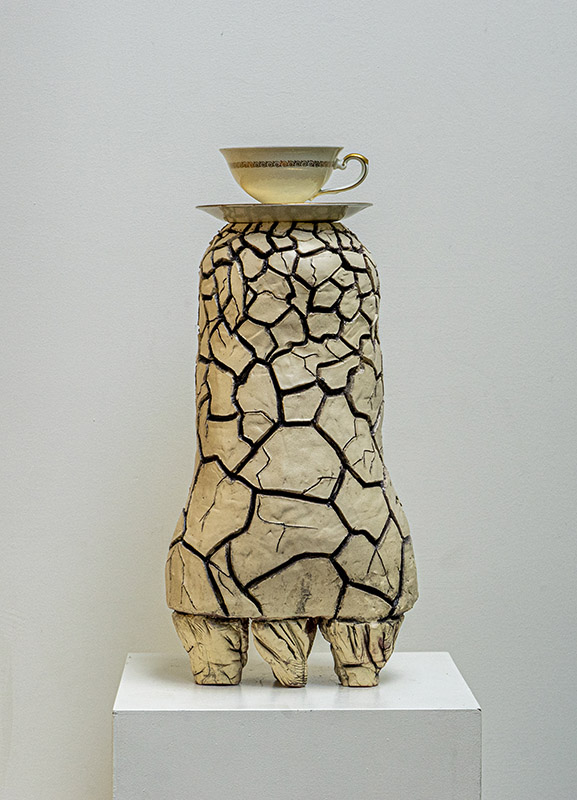 object van Neely Schaap