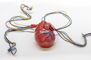 Object gemaakt door Neely Schaap